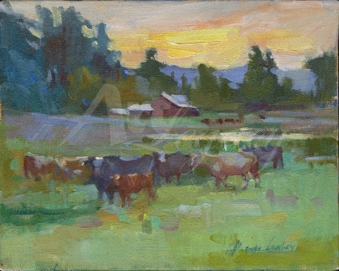 Cattle Herd In Field